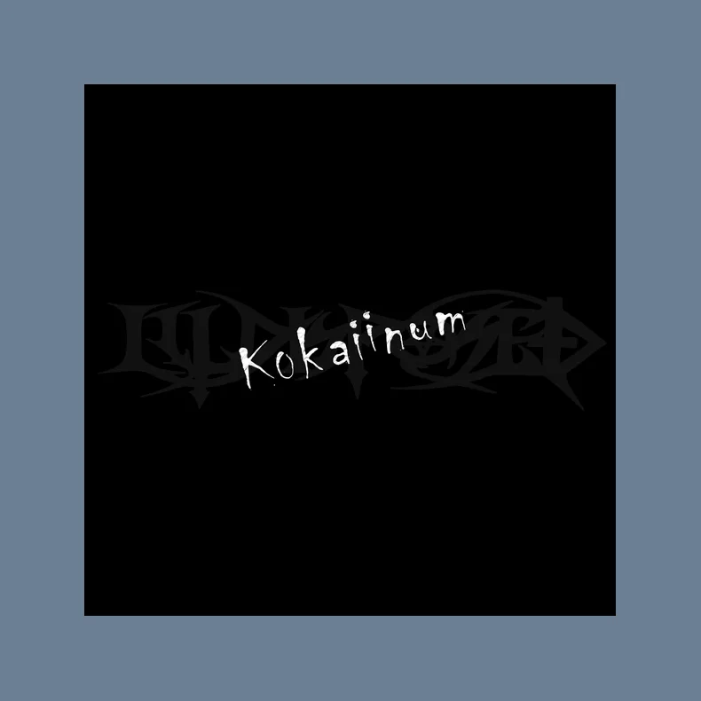 Kokaiinum - 2017 German Supreme Chaos label reissue 9-track LP