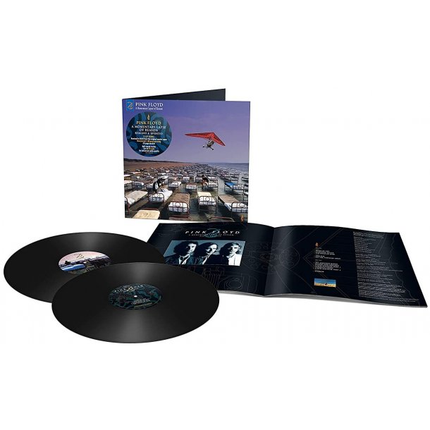 A Momentary Lapse Of Reason - 2021 European Warner label 11-track 2LP 