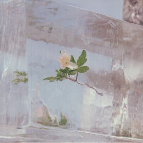 Windflowers - 2021 European City Slang label 9-track LP 