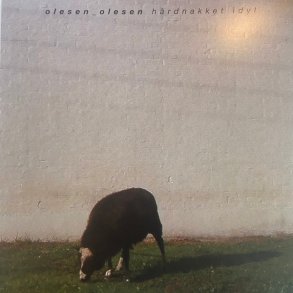 Hrdnakket Idyl - 2021 Wouldn't Waste Records 13-track LP