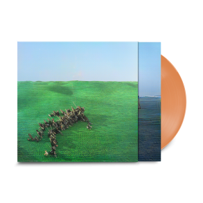 Bright Green Field - 2021 UK Warp Records Label Apricot Vinyl 11-track 2LP Set