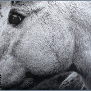 Bonny Light Horseman - 2020 US 37d03d Records Label 10-track LP