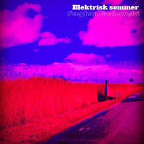 Elektrisk Sommer - 2022 Danish Zack's Music Records 8-track LP