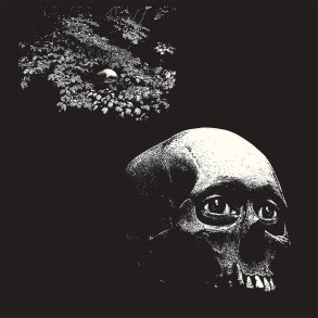 A Foul Form - 2022 US Casstle Face Label 10-track LP