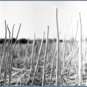 On Acid- 2022 European Acid Test Label 8-track 2LP Set Reissue