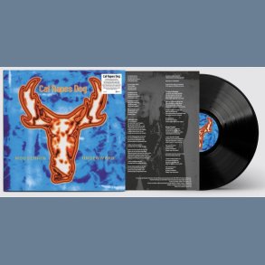 Moosehair Underwear - 2022 European Energy Rekords Label 10-track LP Reissue