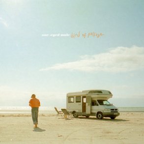 Bird Of Passage - 2022 Danish Grab Them Records 10-track LP