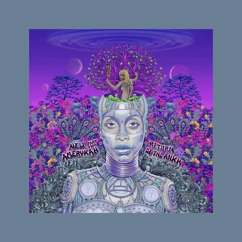 New Amerykah Part Two - 2022 European Motown Label 11-track 2LP Set Reissue