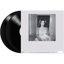 Did You Know That There's A Tunnel Under Ocean Blvd - 2023 European Universal label 16-track 2LP