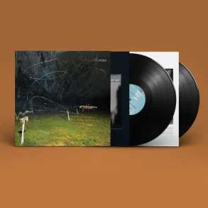 This Stupid World - 2023 European Matador label 9-track 2LP 