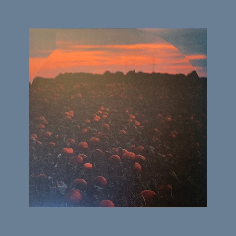 �jeblikke Vi Husker - 2020 Danish Privately Pressed 13-track LP