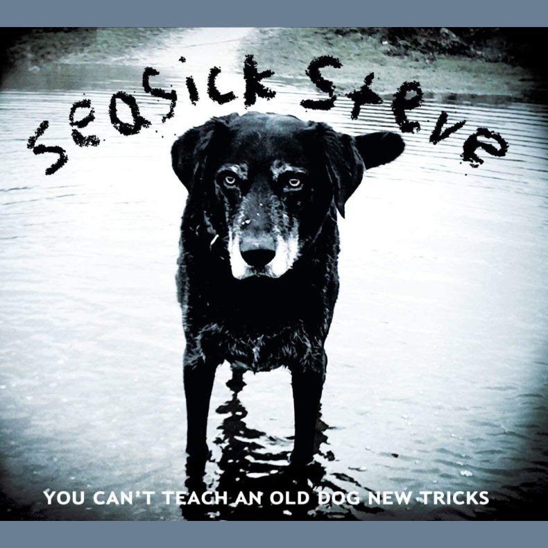 You Can't Teach An Old Dog New Tricks - 2011 European There's A Dead Skunk label 12-track LP