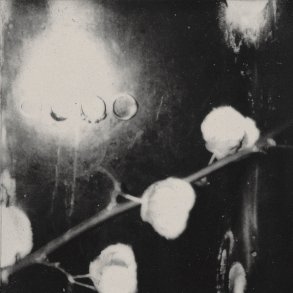 Carnivore Sky - 2020 Danish The Orchard Label 6-track EP