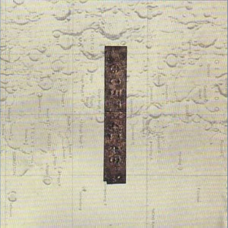 Things We Lost In The Fire - 2022 US Kranky Records Label 14-track 2LP Set Reissue