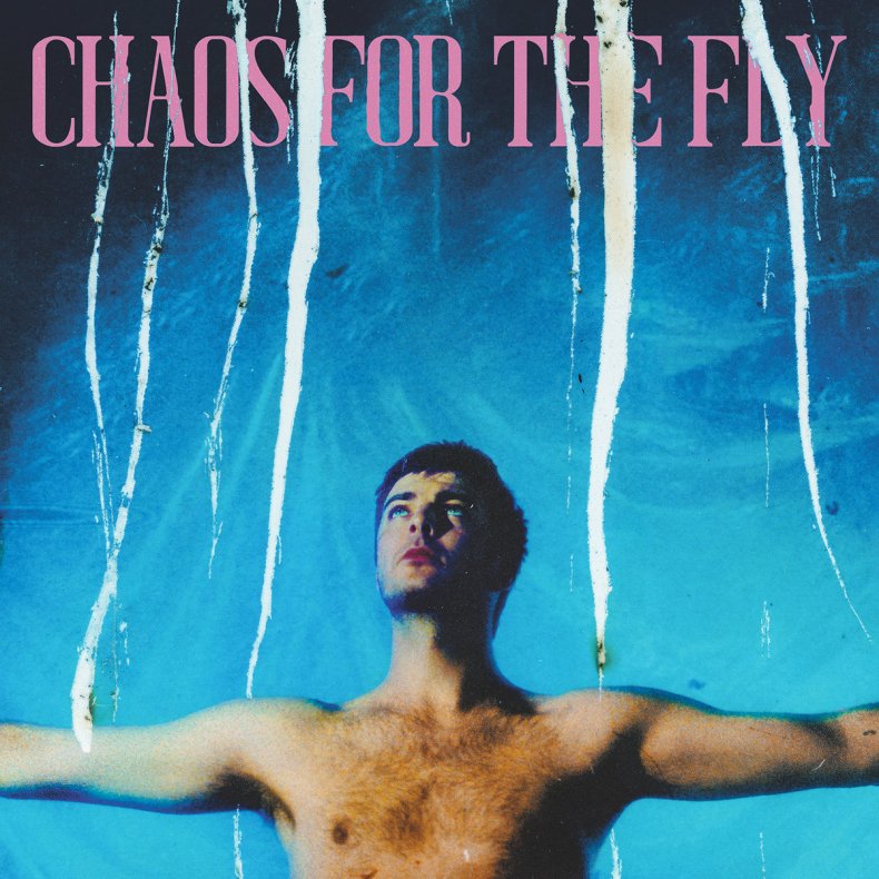 Chaos For The Fly - 2023 US Partisan label 9-track LP