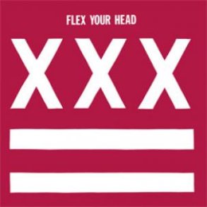 Flex Your Head - 2010 US Dishord Records Label 32-track LP Reissue