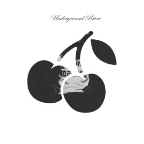 Life Cycle, Delicate Song - 2022 US Nudie Records 12-track LP