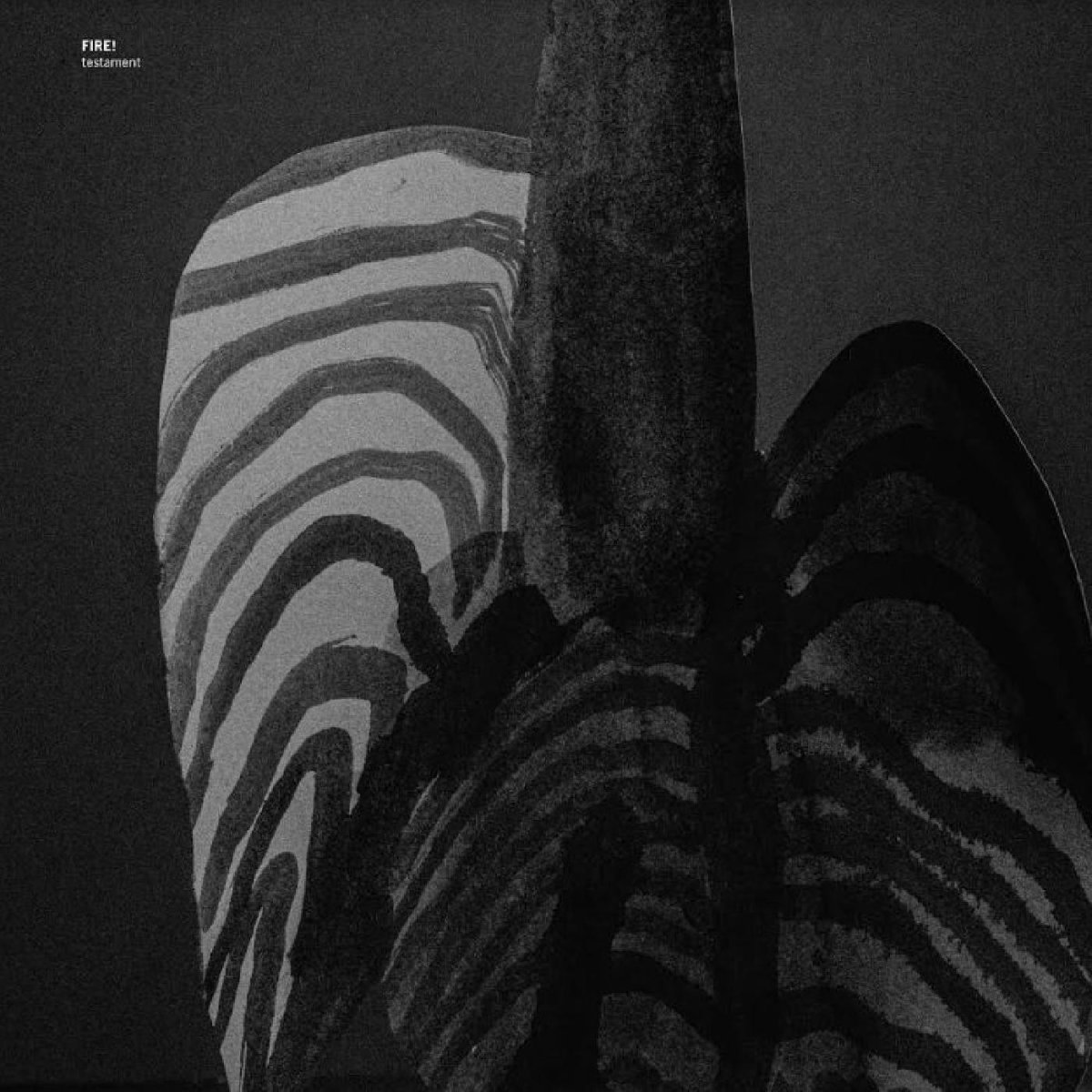 Testament 2024 European Rune Grammofon Records Label Clear Vinyl 5