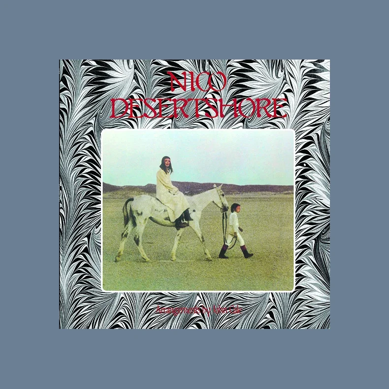 Desertshore - 2023 European Endless Happiness Label 8-track LP Reissue