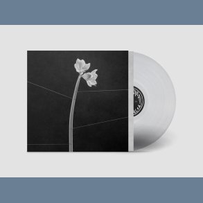 Dreamweaver - 2024 Danish In My Room Label Crystal Clear Vinyl 10-track LP 