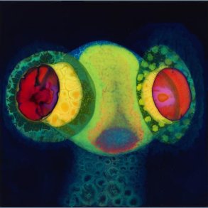 Sorcs 80 - 2024 US Castle Face Label Green & Magenta Vinyl 12-track LP