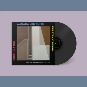 Det , Som Ikke kan Kaldes Tilbage - 2024 Danish ILk Label 9-track LP