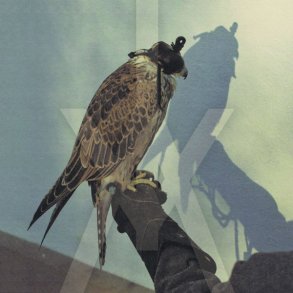 You're Nothing - 2024 Danish Escho Label Clear Vinyl 12-track LP