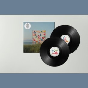 An Ever Changing View - 2023 UK Gondwana Records Label 10-track 2LP Set 