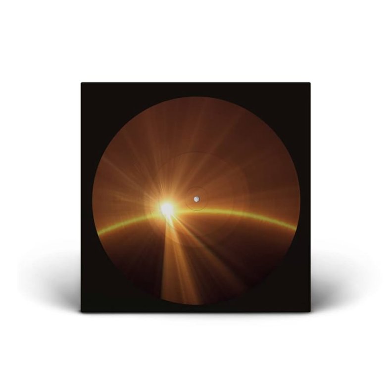 Voyage - 2021 European Universal label Picture Disc vinyl 10-track LP