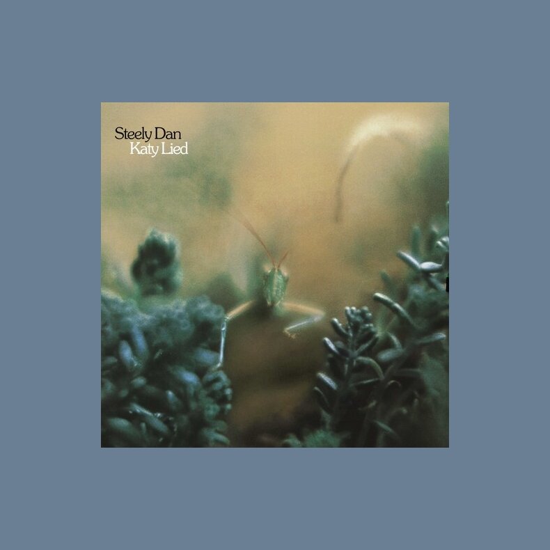 Katy Lied - 2024 European Geffen 10-track LP Reissue