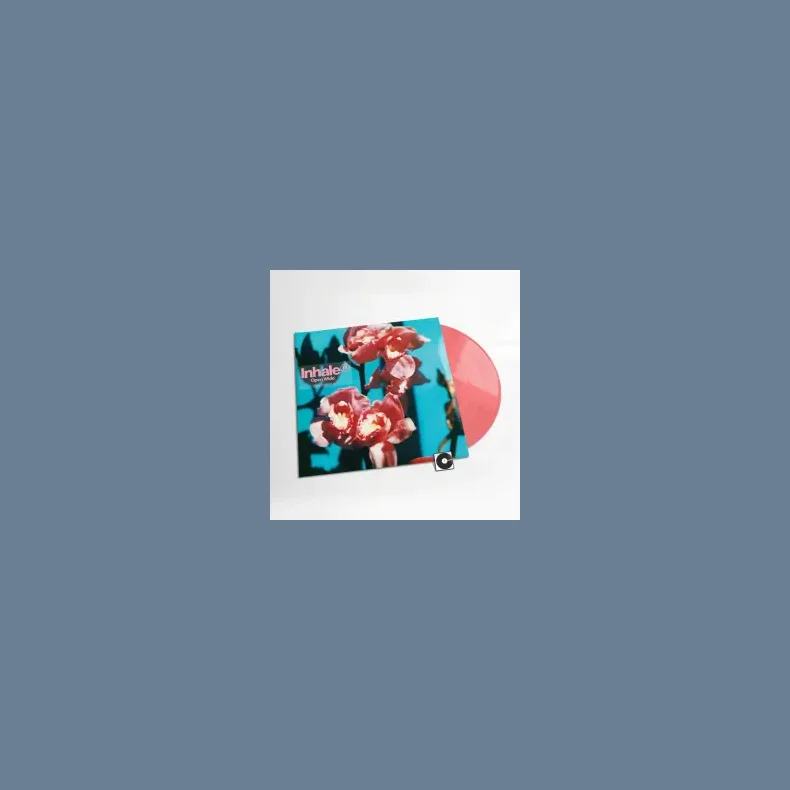 Open Wide - 2025 Polydor Label  Indie Excl. Alt Sleeve + Pink Coloured Vinyl 13-track LP
