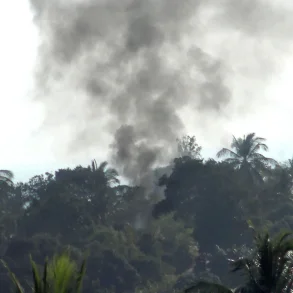 Trash Island - 2025 European Year0001 Label 8-track Vinyl LP