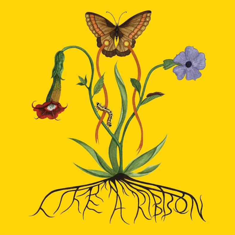 Like A Ribbon - 2025 UK Young Label 15-track LP
