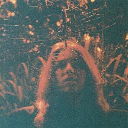 Peripheral Vision - 2022 US Run For Cover label Clear Orange vinyl 11-track LP Reissue