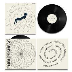 Endlessness - 2024 UK Warp label 10-track 2LP set