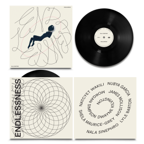 Endlessness - 2024 UK Warp label 10-track 2LP set