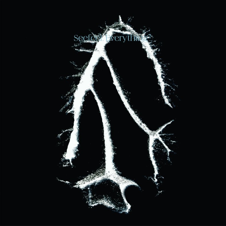 Everything Squared - 2024 UK Warp label 6-track LP