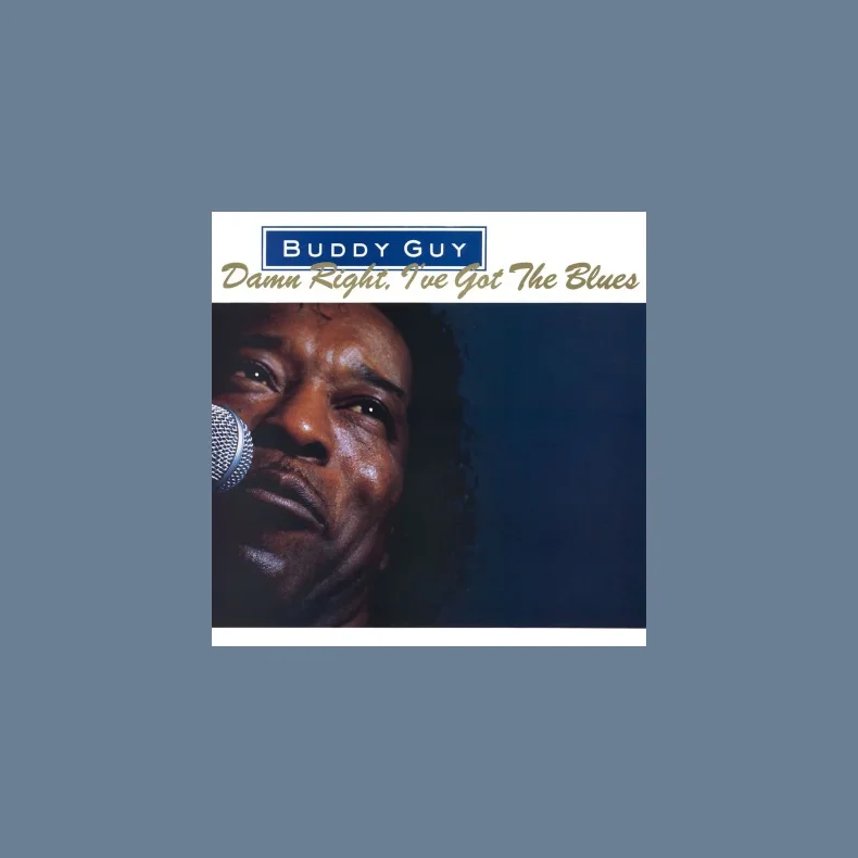 Damn Right, I've Got The Blues - 2020 European Music On Vinyl 10-track LP Reissue