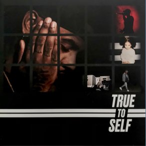 True To Self - 2017 European RCA Label Yellow Opaque Vinyl 19-track 2LP Set
