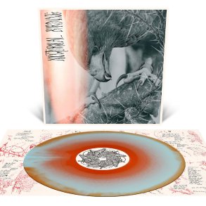 Nocturnal Birding - 2025 US Relapse Records Label Custom Merge Vinyl 8-track LP