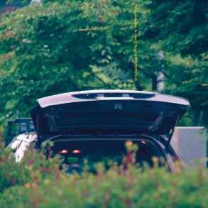 Pareidolia - 2025 US Drag City Label 4-track LP