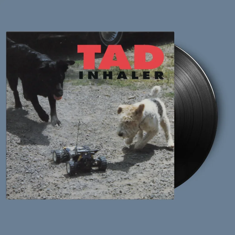 Inhaler - 2024 European Music On Vinyl label 11-track LP Reissue