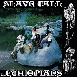 Slave Call - 2024 European Music On Vinyl label Orange vinyl 10-track LP Reissue