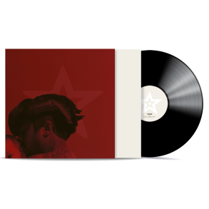 Unge Vind - 2025 Danish Sony Music Label 12-track LP 