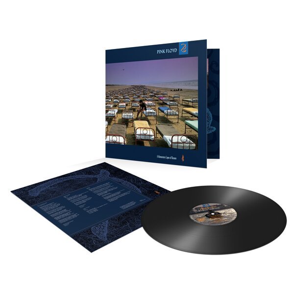 A Momentary Lapse Of Reason - 2025 European Pink Floyd label 10-track ...