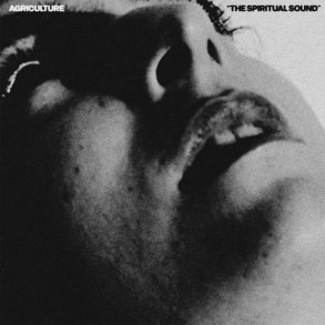 The Spiritual Sound - 2025 US The Flenser label 10-track LP