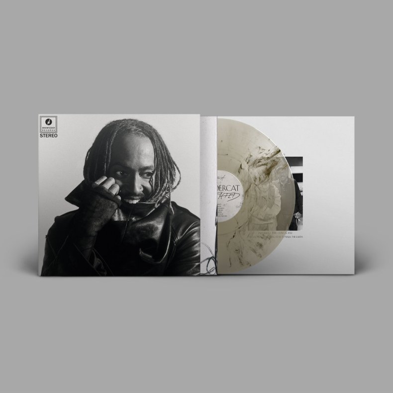 Distracted - 2026 UK Brainfeeder Records Label Clear &amp; black marbled �smoke effect� vinyl 14-track LP (Pre-Order)