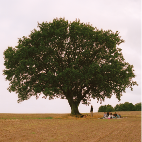 Vild Ungdom - 2026 Danish Universal Label 11-track LP (Pre-Order)