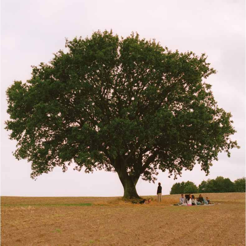 Vild Ungdom - 2026 Danish Universal Label 11-track LP (Pre-Order)