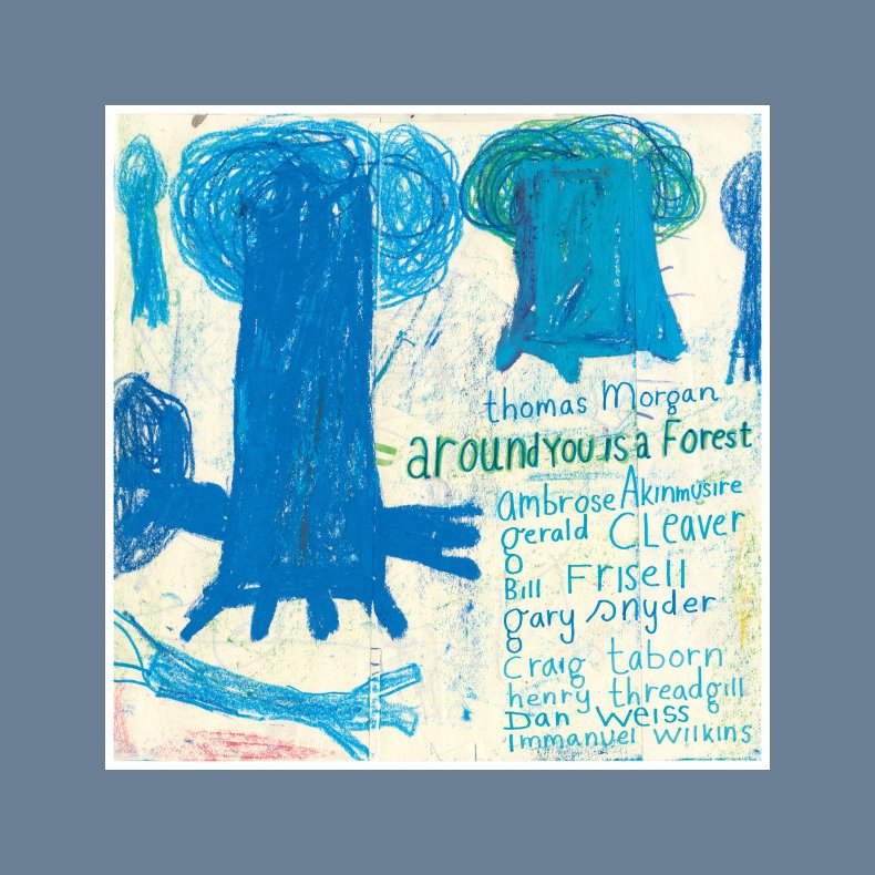 Around You Is A Forest - 2025 Danish Loveland Records Label 9-track 2LP Set